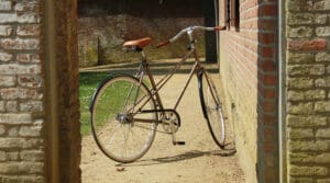 De Walt Bike